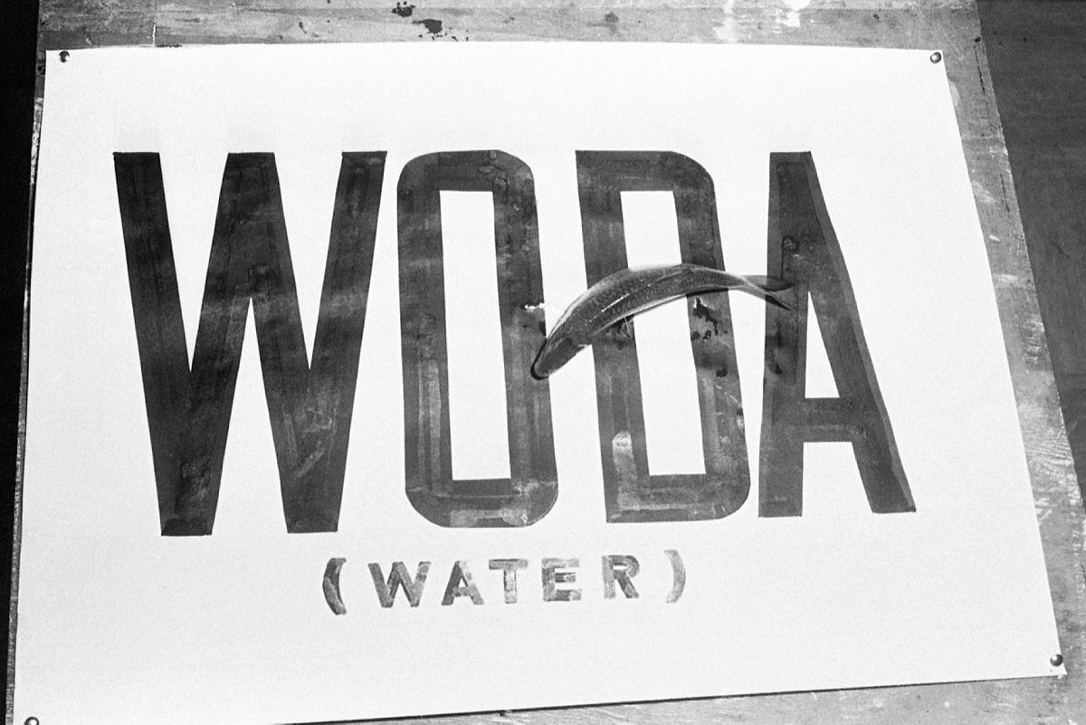 Plansza a na niej dużymi czarnymi literami napis o treści woda a pod spodem w nawiasie napis o trści water. Na napisie leży ryba.