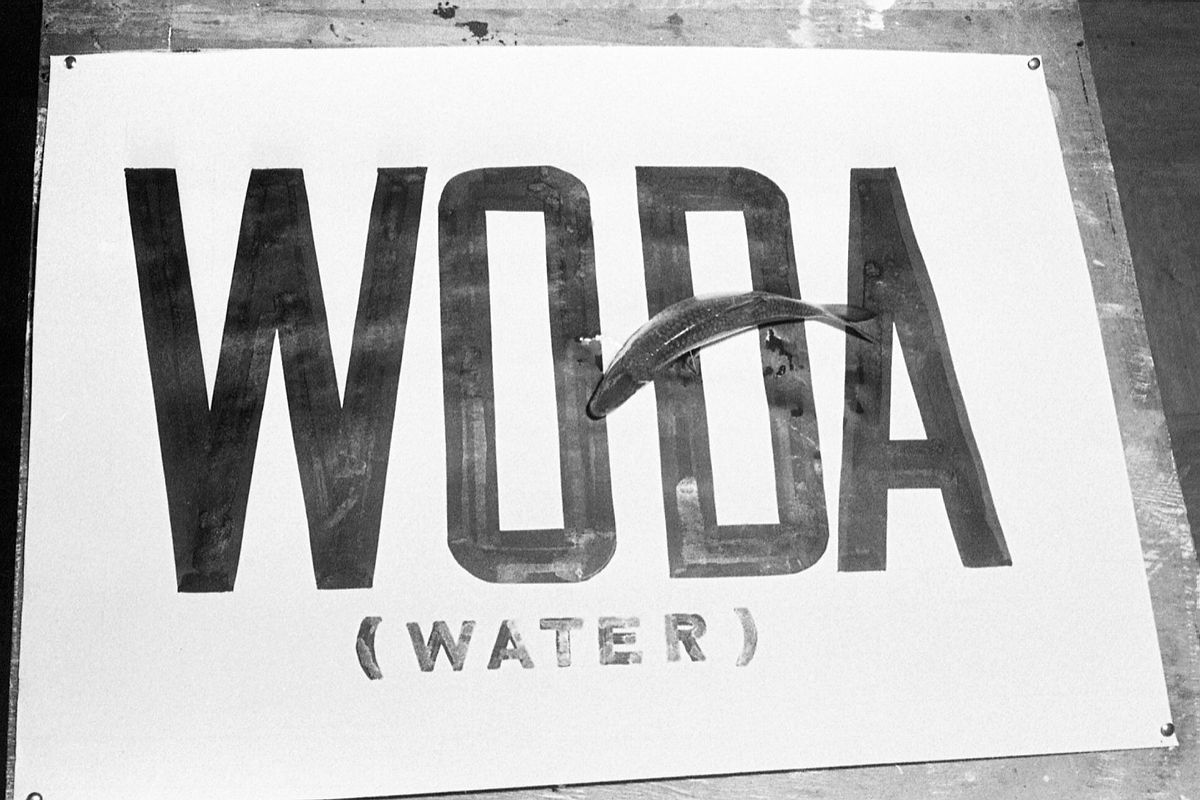 Plansza a na niej dużymi czarnymi literami napis o treści woda a pod spodem w nawiasie napis o trści water. Na napisie leży ryba.